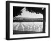 Graves of American Soldiers in France-null-Framed Photographic Print