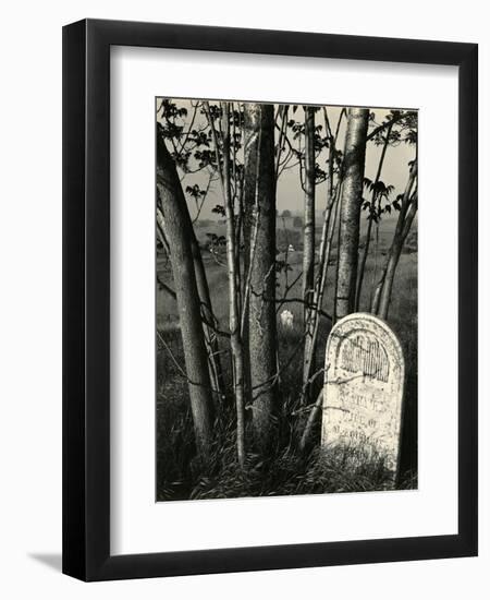 Gravestone and Trees, High Sierra, 1950-Brett Weston-Framed Photographic Print