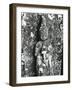 Gravestone Relief Figure, Japan, 1970-Brett Weston-Framed Photographic Print