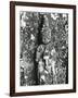 Gravestone Relief Figure, Japan, 1970-Brett Weston-Framed Photographic Print