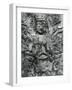 Gravestone Relief Figure, Japan, 1970-Brett Weston-Framed Photographic Print