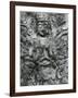 Gravestone Relief Figure, Japan, 1970-Brett Weston-Framed Photographic Print