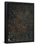 Essential Black