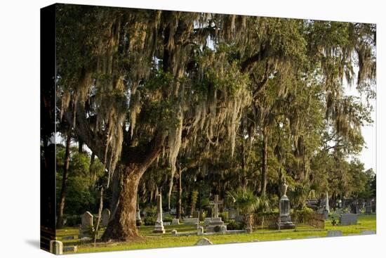 Gravestones and Trees Draped in Spanish Moss in Bonaventure Cemetery, Savannah, Georgia-Paul Souders-Stretched Canvas