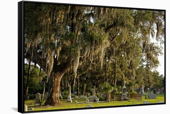 Gravestones and Trees Draped in Spanish Moss in Bonaventure Cemetery, Savannah, Georgia-Paul Souders-Framed Stretched Canvas