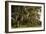 Gravestones and Trees Draped in Spanish Moss in Bonaventure Cemetery, Savannah, Georgia-Paul Souders-Framed Photographic Print