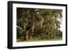 Gravestones and Trees Draped in Spanish Moss in Bonaventure Cemetery, Savannah, Georgia-Paul Souders-Framed Photographic Print