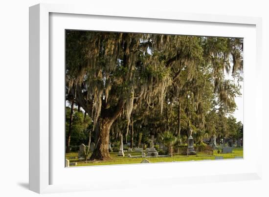 Gravestones and Trees Draped in Spanish Moss in Bonaventure Cemetery, Savannah, Georgia-Paul Souders-Framed Photographic Print