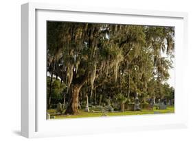 Gravestones and Trees Draped in Spanish Moss in Bonaventure Cemetery, Savannah, Georgia-Paul Souders-Framed Photographic Print