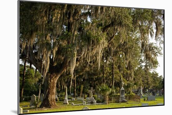 Gravestones and Trees Draped in Spanish Moss in Bonaventure Cemetery, Savannah, Georgia-Paul Souders-Mounted Photographic Print