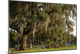 Gravestones and Trees Draped in Spanish Moss in Bonaventure Cemetery, Savannah, Georgia-Paul Souders-Mounted Photographic Print