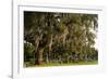 Gravestones and Trees Draped in Spanish Moss in Bonaventure Cemetery, Savannah, Georgia-Paul Souders-Framed Photographic Print