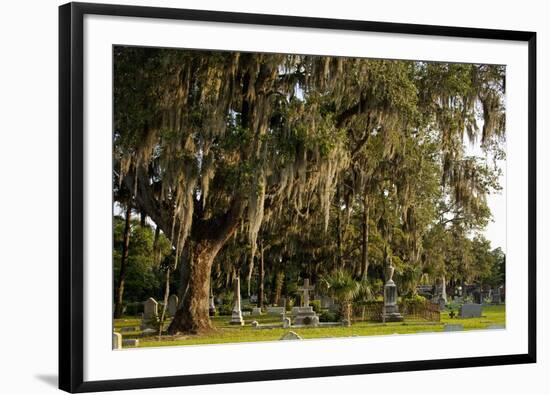 Gravestones and Trees Draped in Spanish Moss in Bonaventure Cemetery, Savannah, Georgia-Paul Souders-Framed Photographic Print