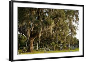 Gravestones and Trees Draped in Spanish Moss in Bonaventure Cemetery, Savannah, Georgia-Paul Souders-Framed Photographic Print