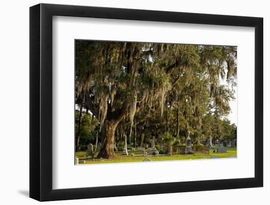 Gravestones and Trees Draped in Spanish Moss in Bonaventure Cemetery, Savannah, Georgia-Paul Souders-Framed Photographic Print