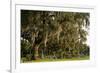 Gravestones and Trees Draped in Spanish Moss in Bonaventure Cemetery, Savannah, Georgia-Paul Souders-Framed Photographic Print