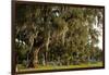 Gravestones and Trees Draped in Spanish Moss in Bonaventure Cemetery, Savannah, Georgia-Paul Souders-Framed Photographic Print