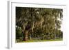 Gravestones and Trees Draped in Spanish Moss in Bonaventure Cemetery, Savannah, Georgia-Paul Souders-Framed Photographic Print