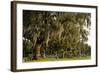 Gravestones and Trees Draped in Spanish Moss in Bonaventure Cemetery, Savannah, Georgia-Paul Souders-Framed Photographic Print