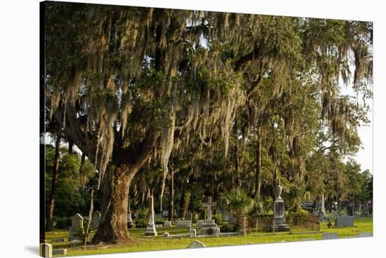 Gravestones and Trees Draped in Spanish Moss in Bonaventure Cemetery, Savannah, Georgia-Paul Souders-Stretched Canvas