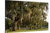 Gravestones and Trees Draped in Spanish Moss in Bonaventure Cemetery, Savannah, Georgia-Paul Souders-Stretched Canvas