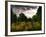 Gravestones at Cathays Cemetery, Cardiff Wales-Clive Nolan-Framed Photographic Print