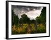 Gravestones at Cathays Cemetery, Cardiff Wales-Clive Nolan-Framed Photographic Print