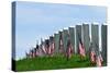 Gravestones Decorated with U.S. Flags to Commemorate Memorial Day at the Arlington National Cemeter-1photo-Stretched Canvas