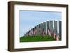 Gravestones Decorated with U.S. Flags to Commemorate Memorial Day at the Arlington National Cemeter-1photo-Framed Photographic Print