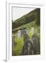 Gravestones in a Churchyard-Clive Nolan-Framed Photographic Print