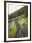 Gravestones in a Churchyard-Clive Nolan-Framed Photographic Print