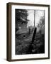 Gravestones in Cemetery, Ipswich, Mass-Fritz Goro-Framed Photographic Print