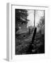 Gravestones in Cemetery, Ipswich, Mass-Fritz Goro-Framed Photographic Print