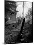 Gravestones in Cemetery, Ipswich, Mass-Fritz Goro-Mounted Photographic Print