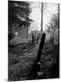 Gravestones in Cemetery, Ipswich, Mass-Fritz Goro-Mounted Photographic Print