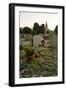 Gravestones in Churchyard-Tim Kahane-Framed Photographic Print