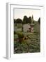 Gravestones in Churchyard-Tim Kahane-Framed Photographic Print