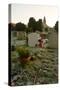 Gravestones in Churchyard-Tim Kahane-Stretched Canvas