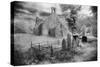 Graveyard, Castlelyons, County Cork, Ireland-Simon Marsden-Stretched Canvas