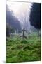 Graveyard in England in Winter-David Baker-Mounted Photographic Print