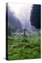 Graveyard in England in Winter-David Baker-Stretched Canvas