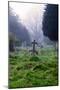 Graveyard in England in Winter-David Baker-Mounted Photographic Print