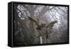 Graveyard in England in Winter-David Baker-Framed Stretched Canvas