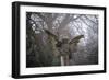 Graveyard in England in Winter-David Baker-Framed Photographic Print