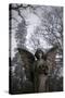 Graveyard in England in Winter-David Baker-Stretched Canvas