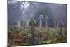 Graveyard in England in Winter-David Baker-Mounted Photographic Print