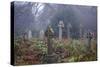 Graveyard in England in Winter-David Baker-Stretched Canvas