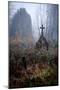 Graveyard in England in Winter-David Baker-Mounted Photographic Print