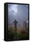 Graveyard in England in Winter-David Baker-Framed Stretched Canvas