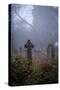 Graveyard in England in Winter-David Baker-Stretched Canvas